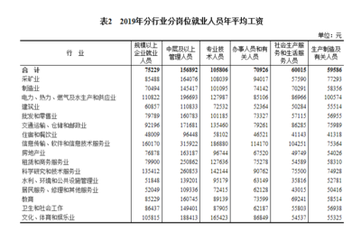 2019年全國規上企業就業人員年平均工資增長10%，軟件和信息技術服務業投資與管理成亮點